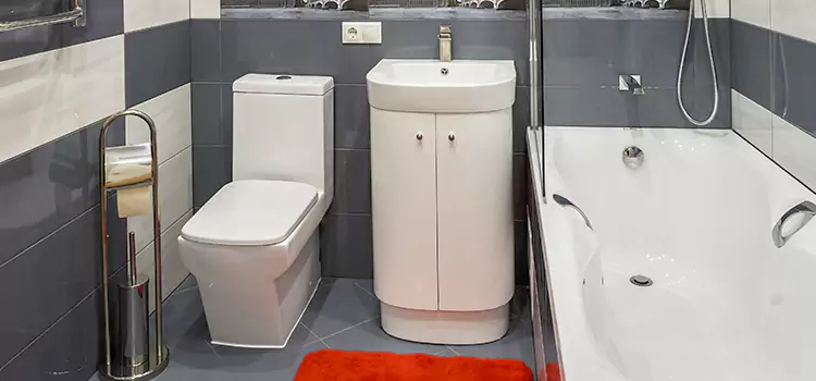 Hansgrohe Shaving Mirror El Cajon